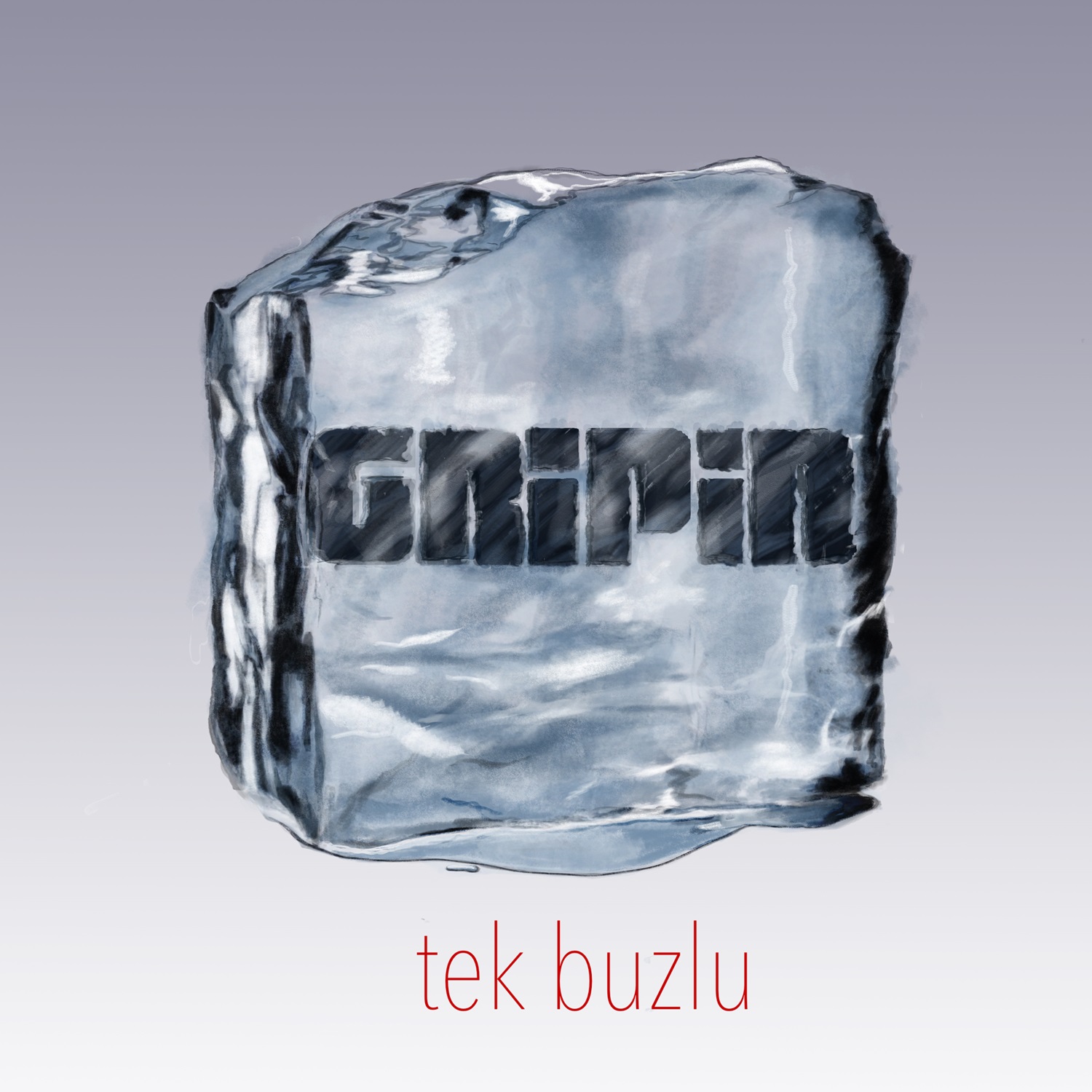 GRİPİN’DEN TEK ENSTRÜMANLI AKUSTİK ALBÜM!